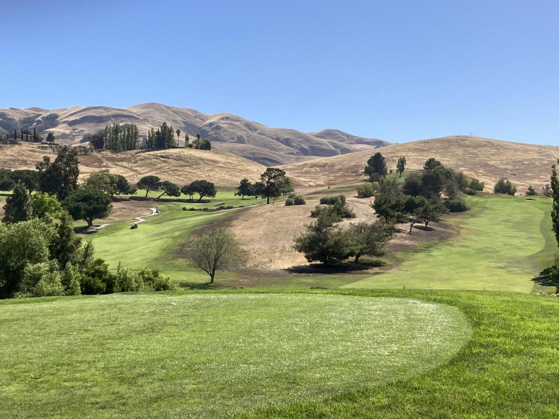 (Photo submitted by mmtowns on 06/11/2022)