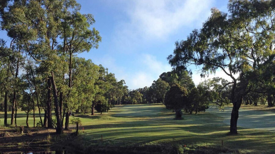 Drouin GCC: #15