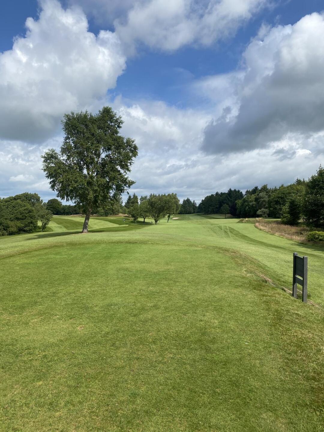 (Photo submitted by Redtom72 on 07/18/2024)