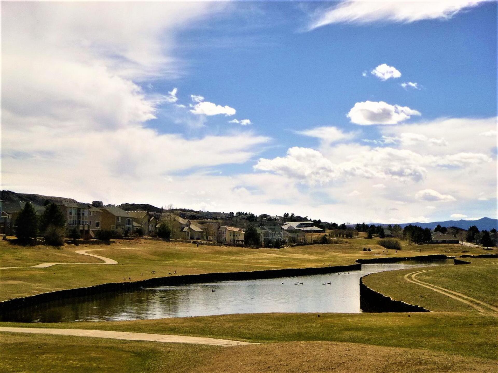 (Photo submitted by DiamondAces on 04/10/2023)