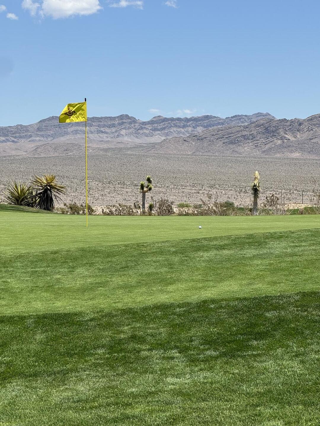 (Photo submitted by KyleFromTheSipp on 06/10/2025)