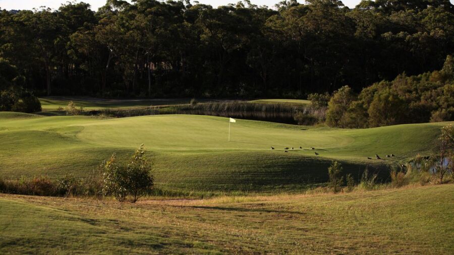 Springs GCC: #9