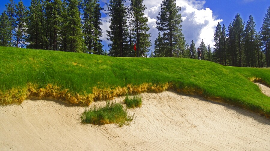 Clear Creek Tahoe golf course - No. 8