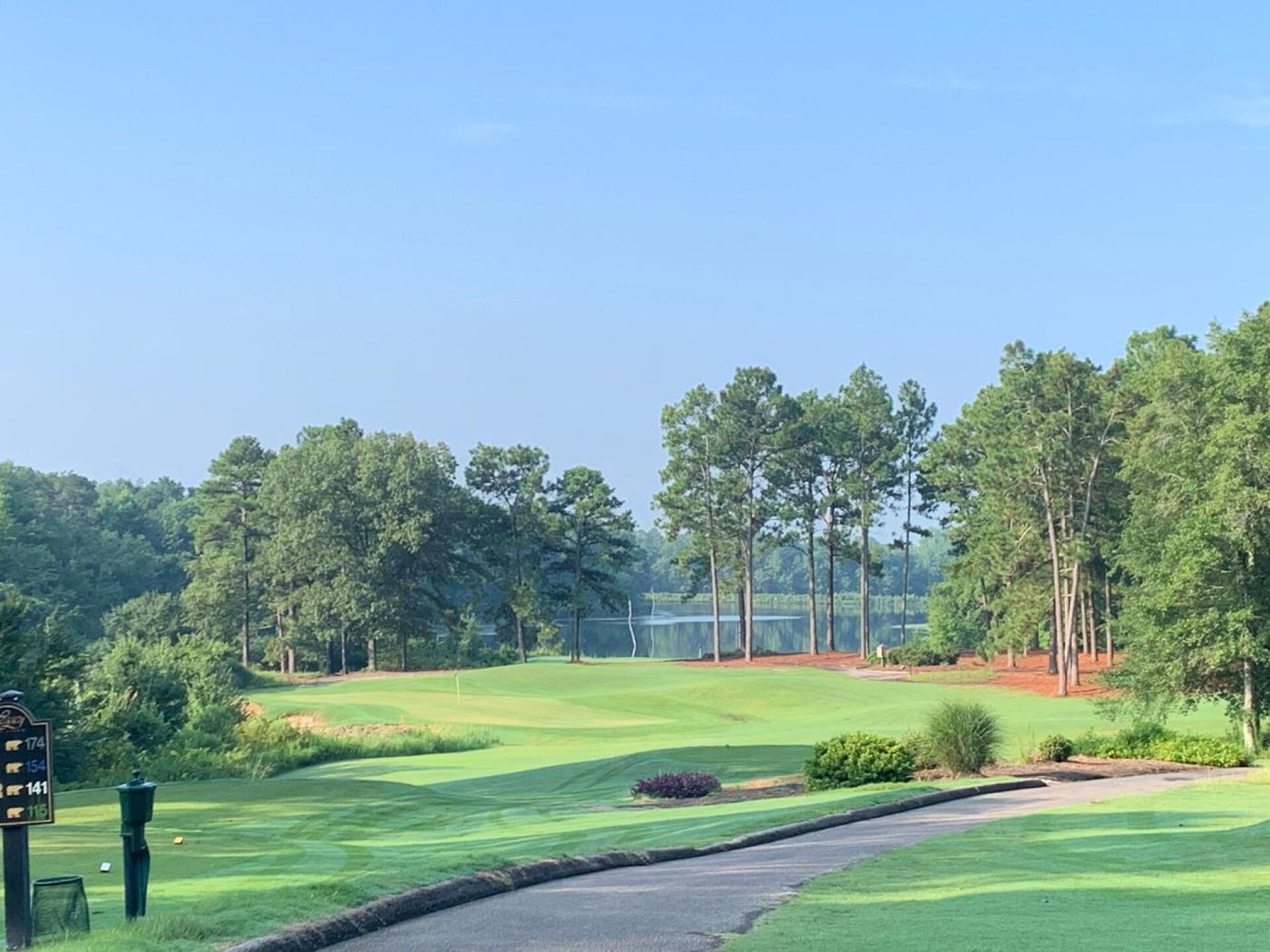 (Photo submitted by dagood1 on 08/11/2020)