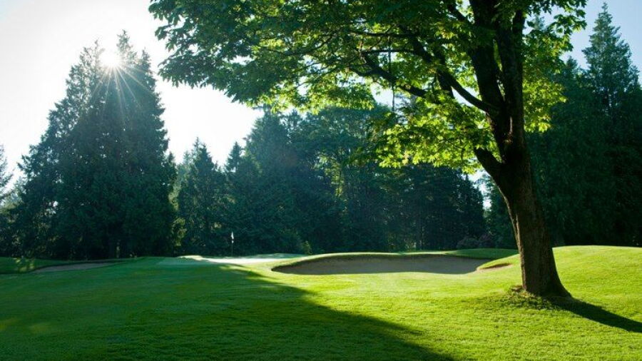 South at Sahalee CC: #8