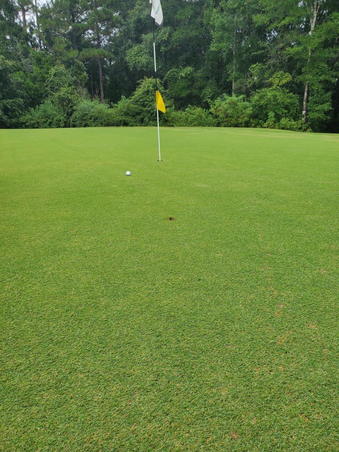 (Photo submitted by DavidIngraham1 on 11/15/2020)