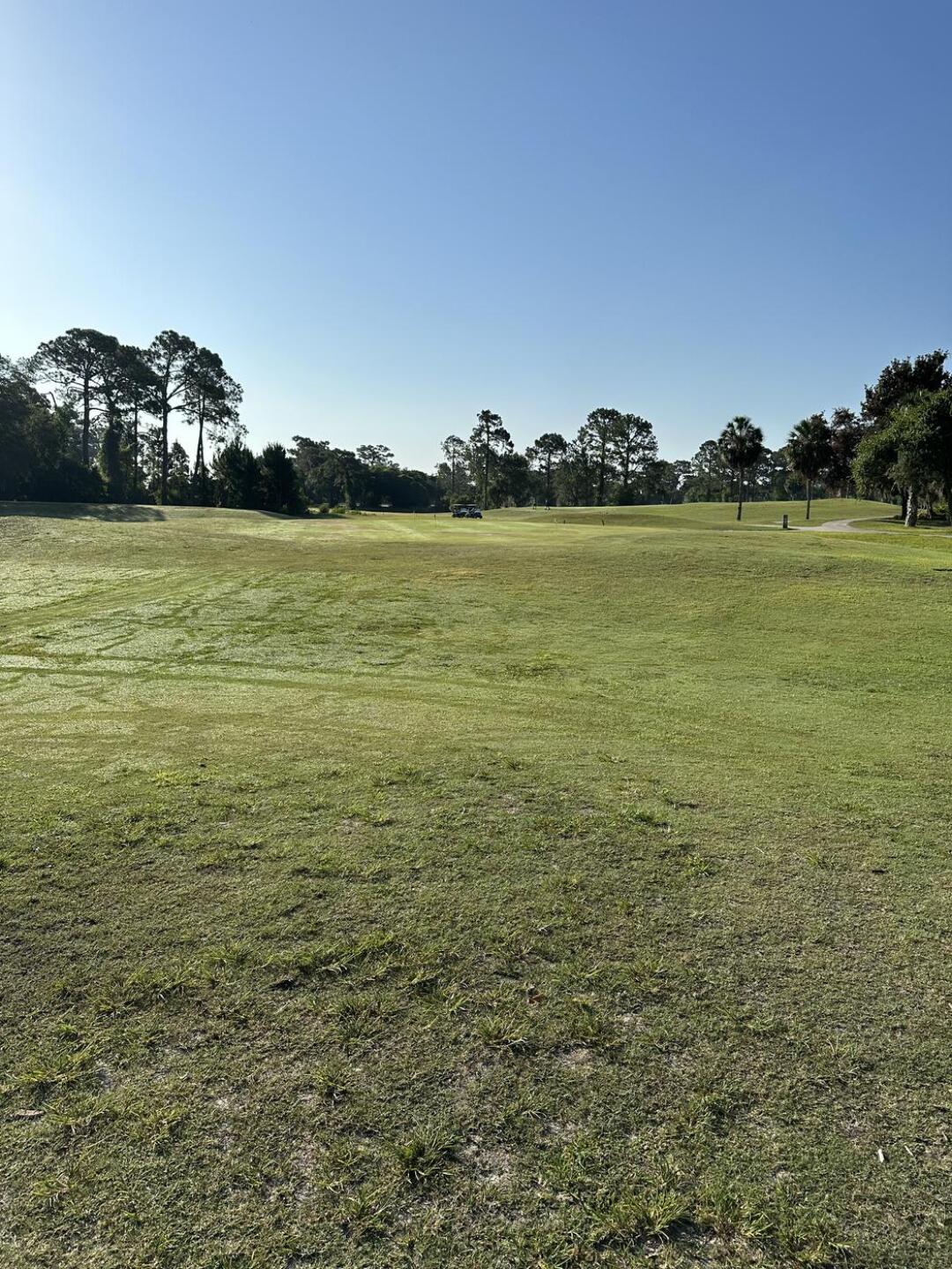 (Photo submitted by u556893428 on 05/13/2023)