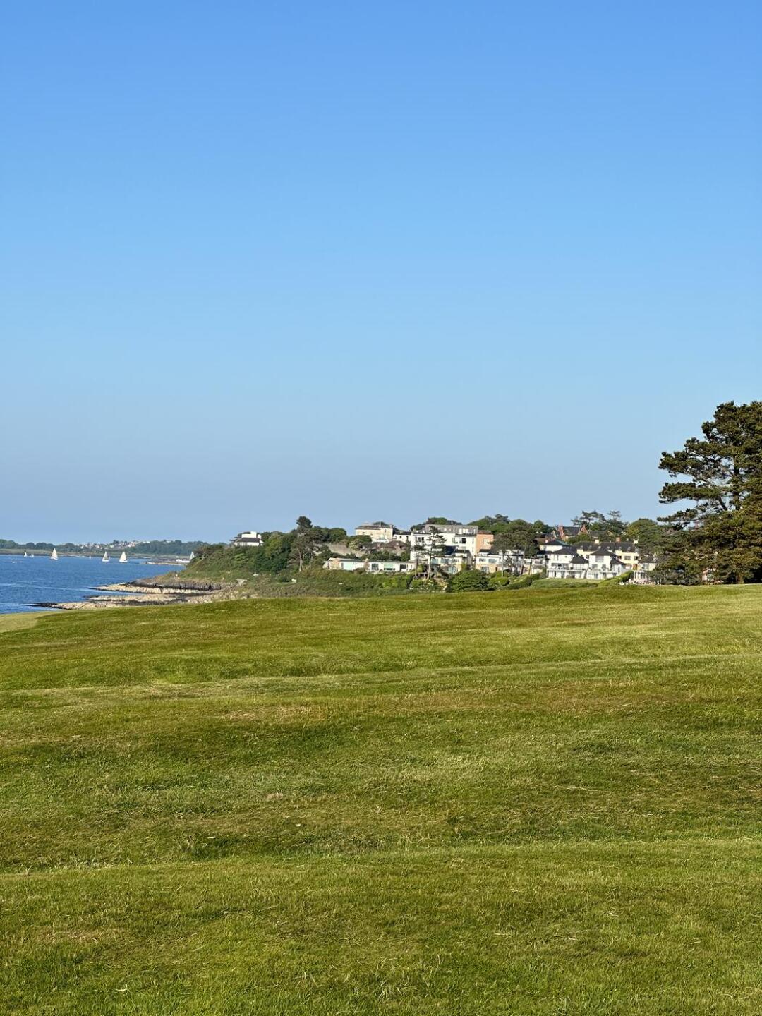 (Photo submitted by WazzaH on 06/08/2023)