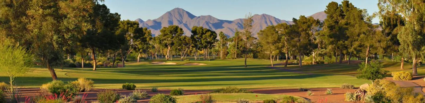 McCormick Ranch GC - Pine: #10