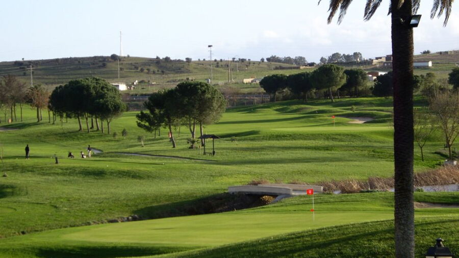 Guadiana GC: #8