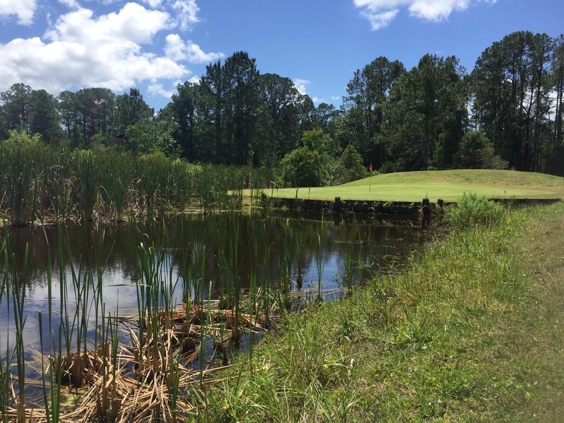 Hole #7 Beautiful Par 3 over the water (Photo submitted by u000001628134 on 07/14/2017)