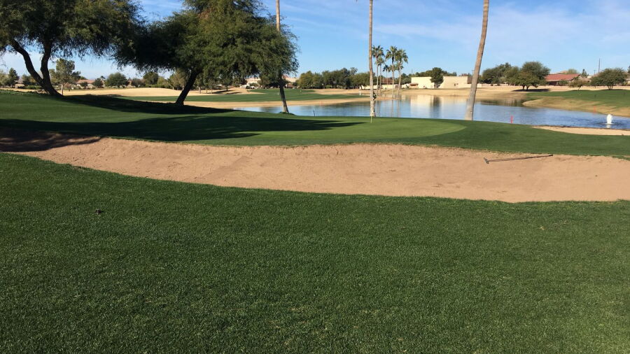 Springfield Golf Resort: #8