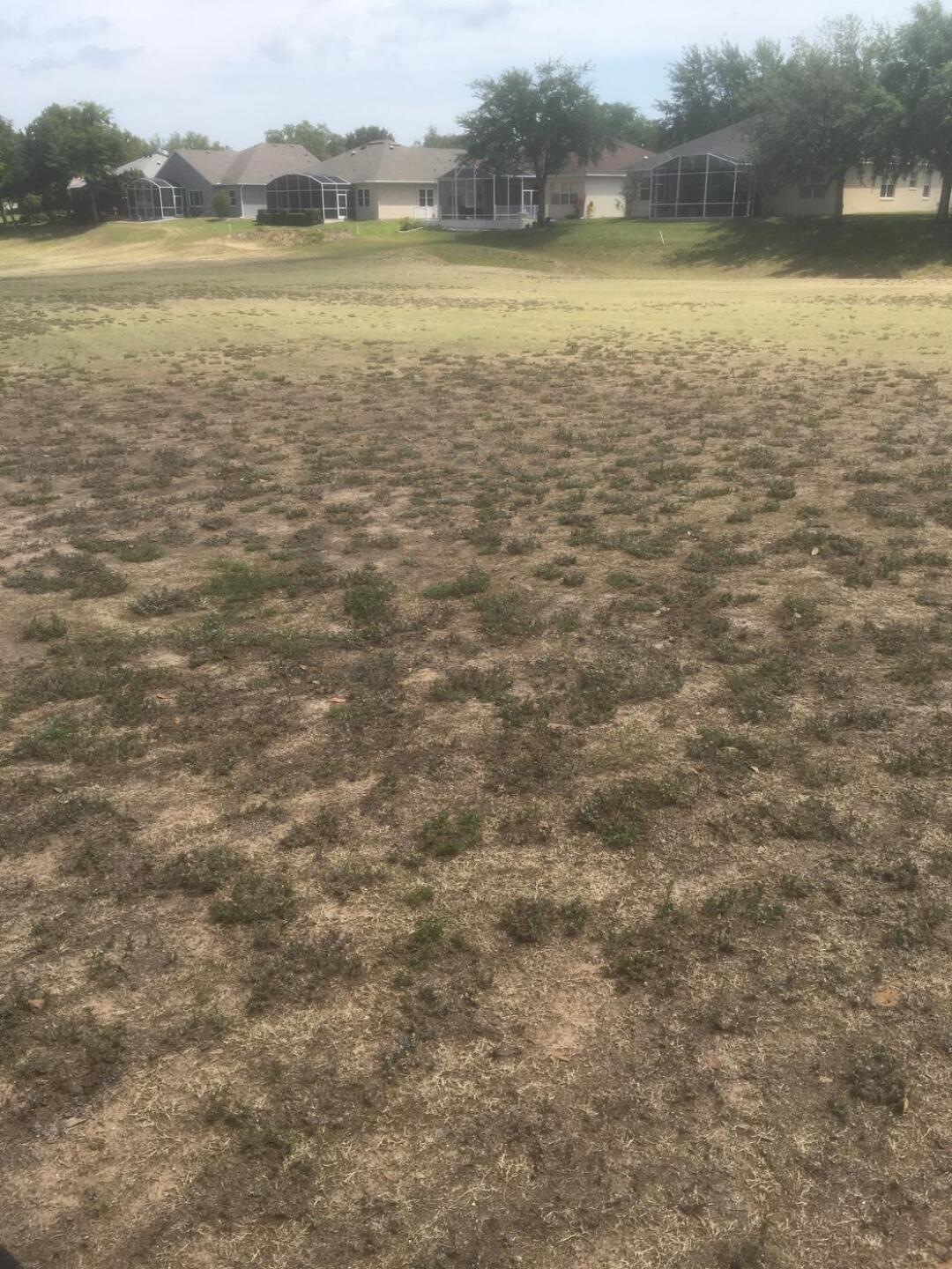 (Photo submitted by u361466684 on 04/15/2021)