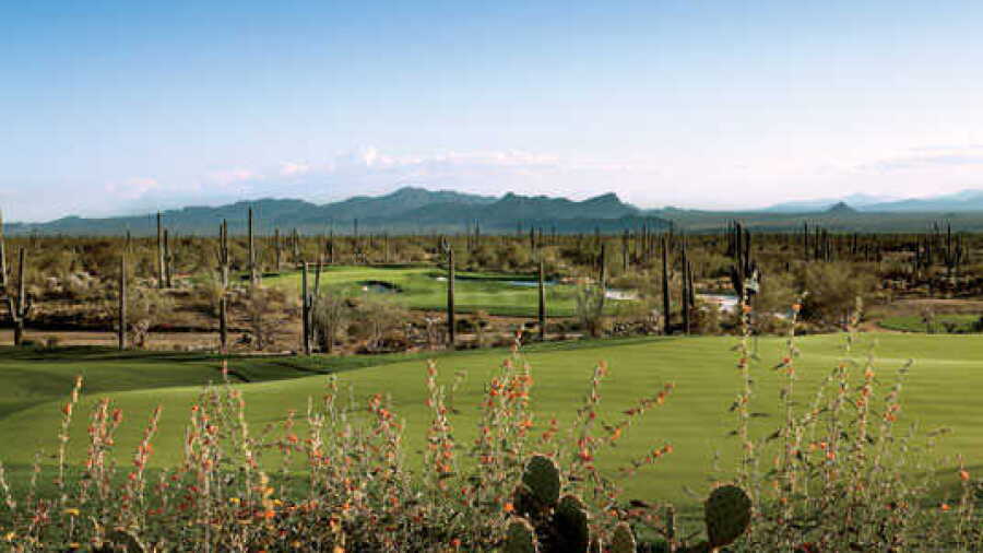 The GC at Dove Mountain - Tortolita