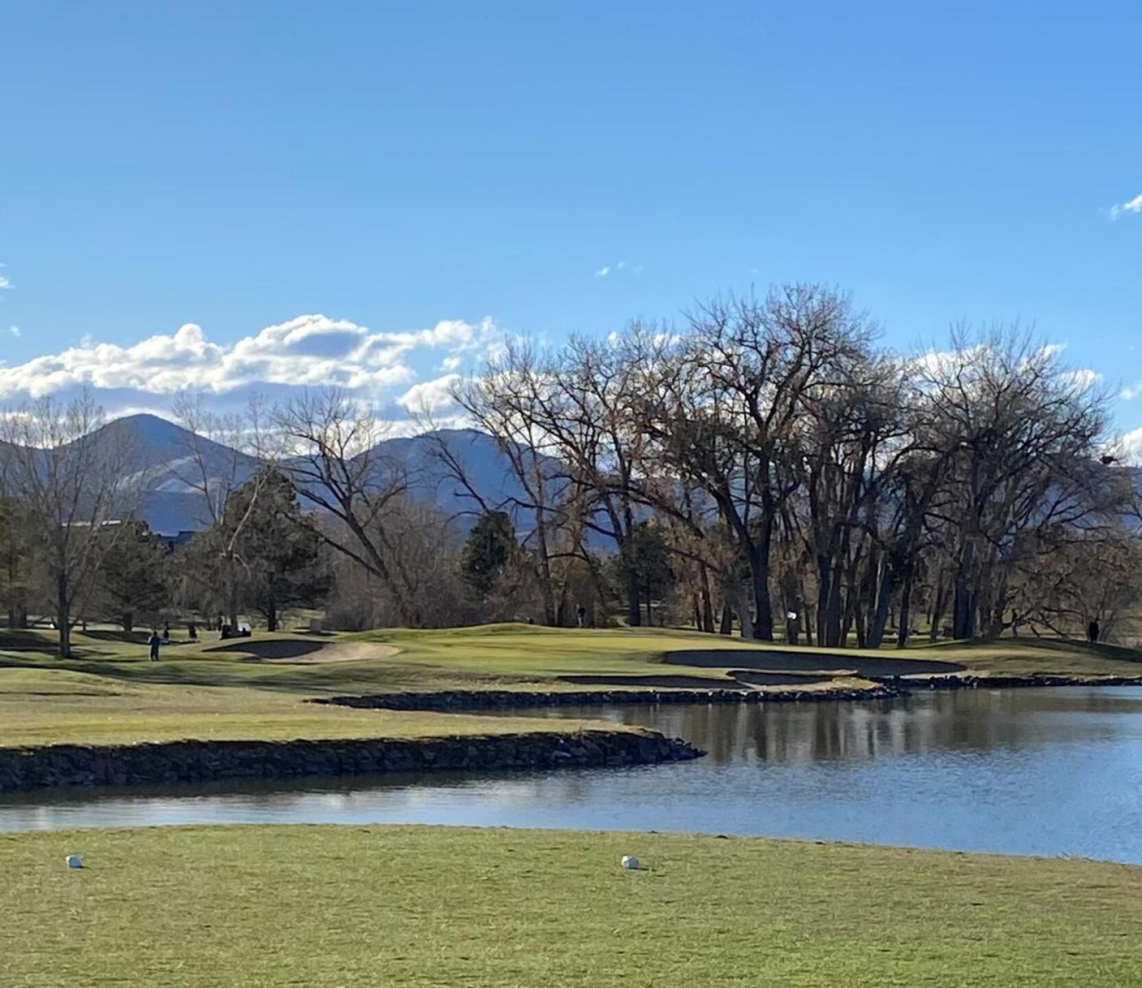 (Photo submitted by pjevans on 11/08/2020)