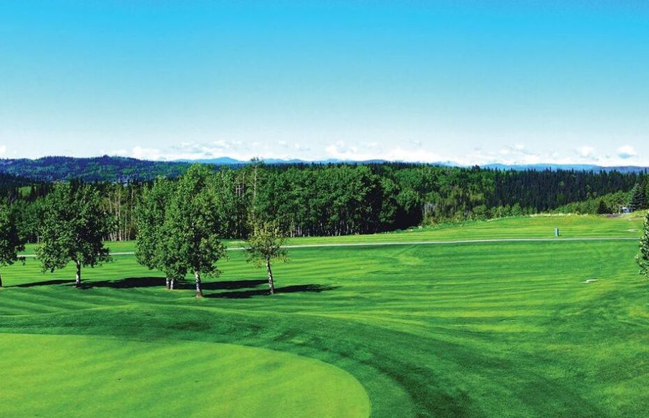 Priddis Greens Golf and Country Club Hawk in Priddis, Alberta, Canada