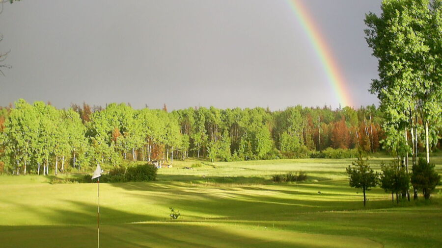 Tin Cup Greens GC