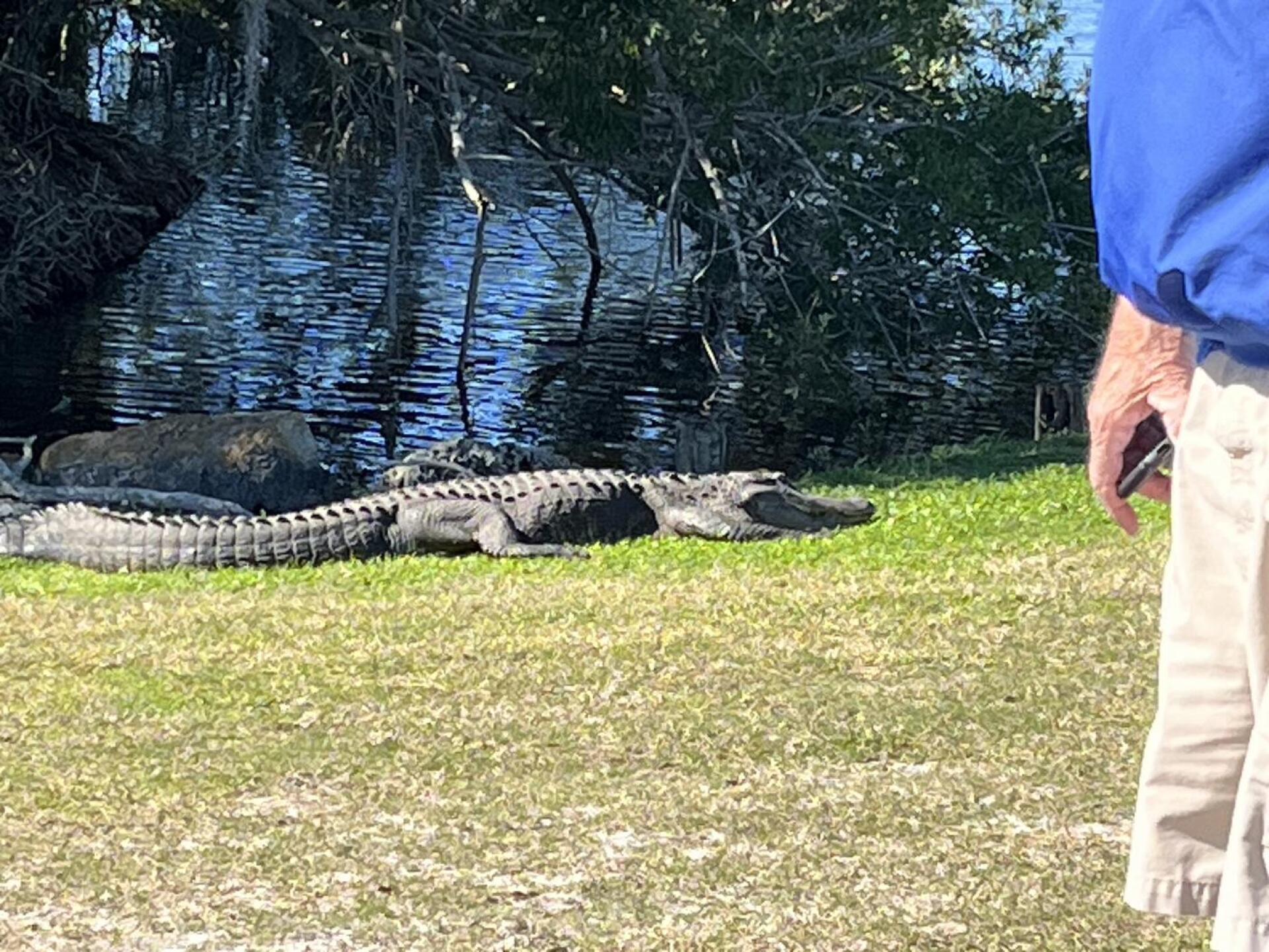 (Photo submitted by tfogolf15 on 01/26/2024)