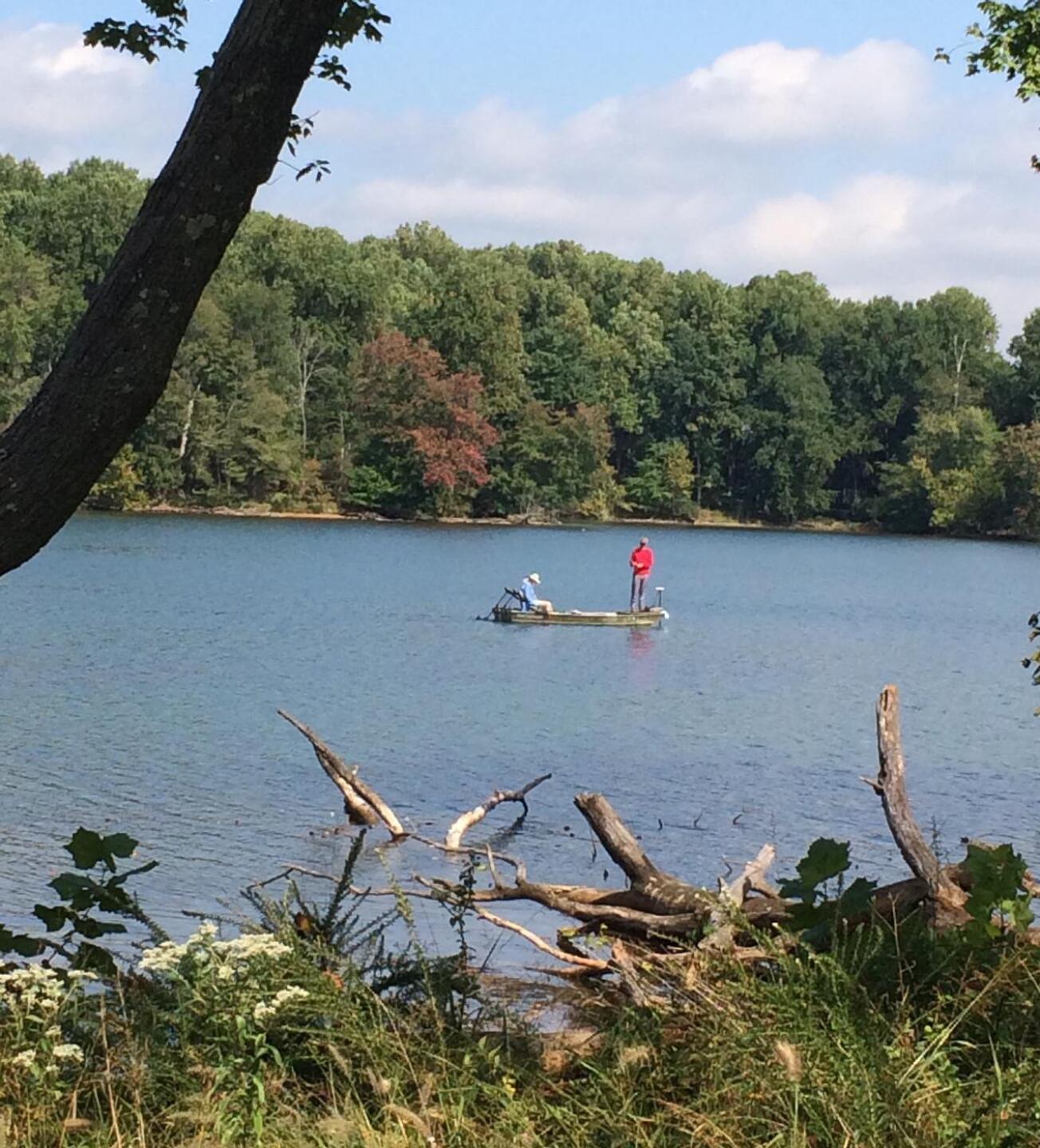 from 15 (Photo submitted by jwnDLbCs1SVLjETCZtn7 on 11/12/2020)