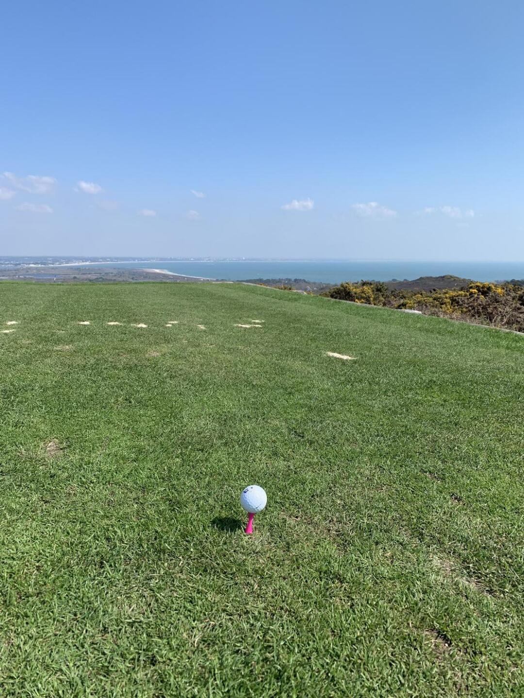 (Photo submitted by u314162637333 on 04/20/2023)