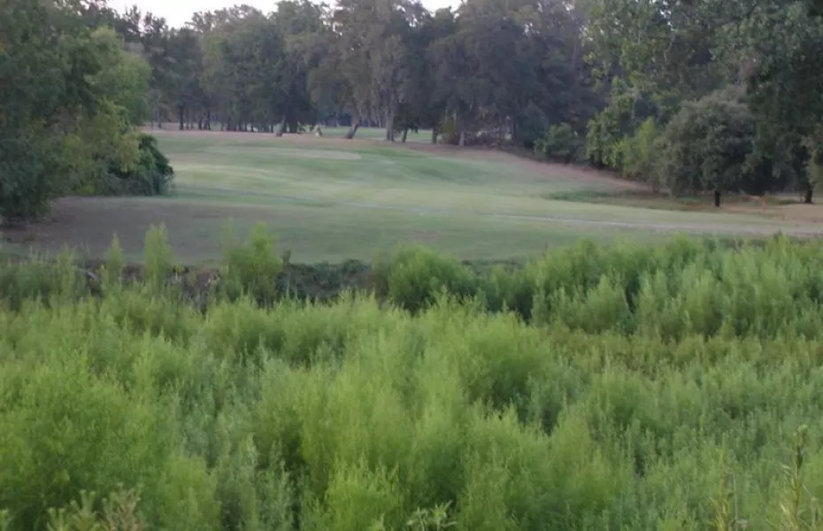 Stephen F. Austin GC