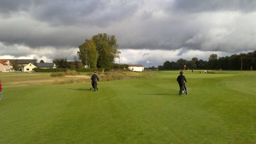 Zieglers GC: #7