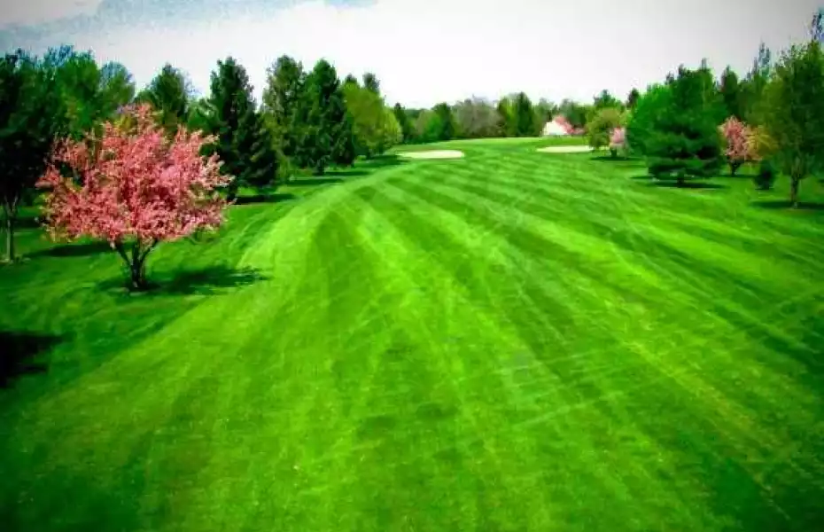 Snag Creek Golf Course in Washburn, Illinois, USA GolfPass