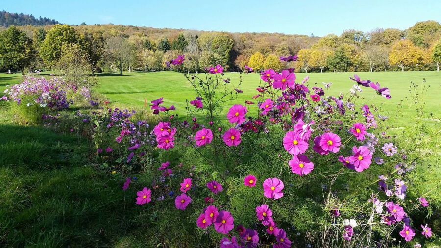 Rougemont le Chateau GC