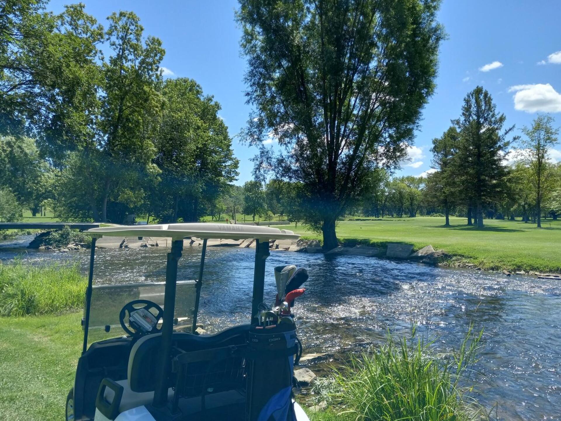 (Photo submitted by chequez on 08/06/2022)