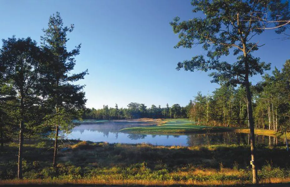 Hemlock GC: #18