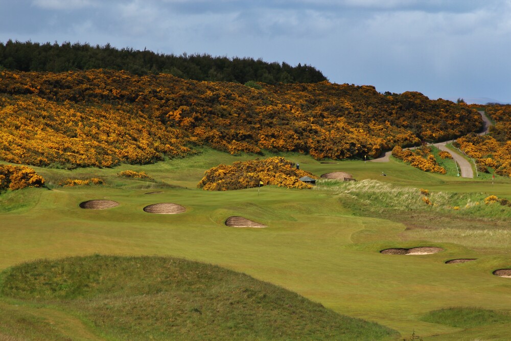Royal Dornoch Golf Club - Championship Course