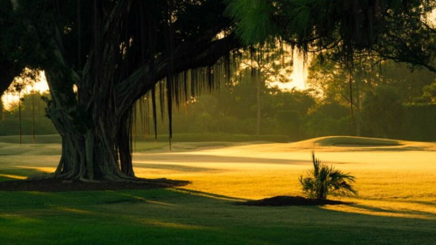 Delray Dunes GCC
