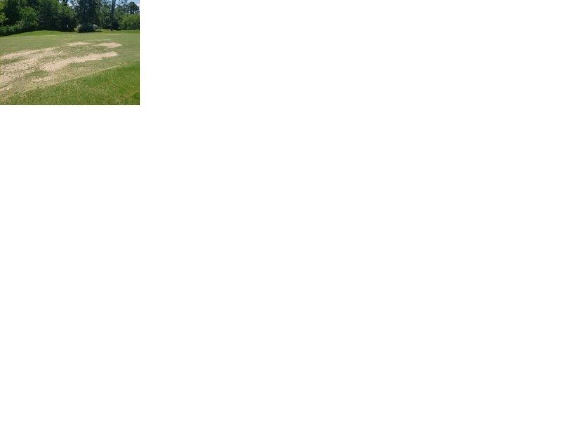 (Photo submitted by kimbrellrw on 06/11/2019)