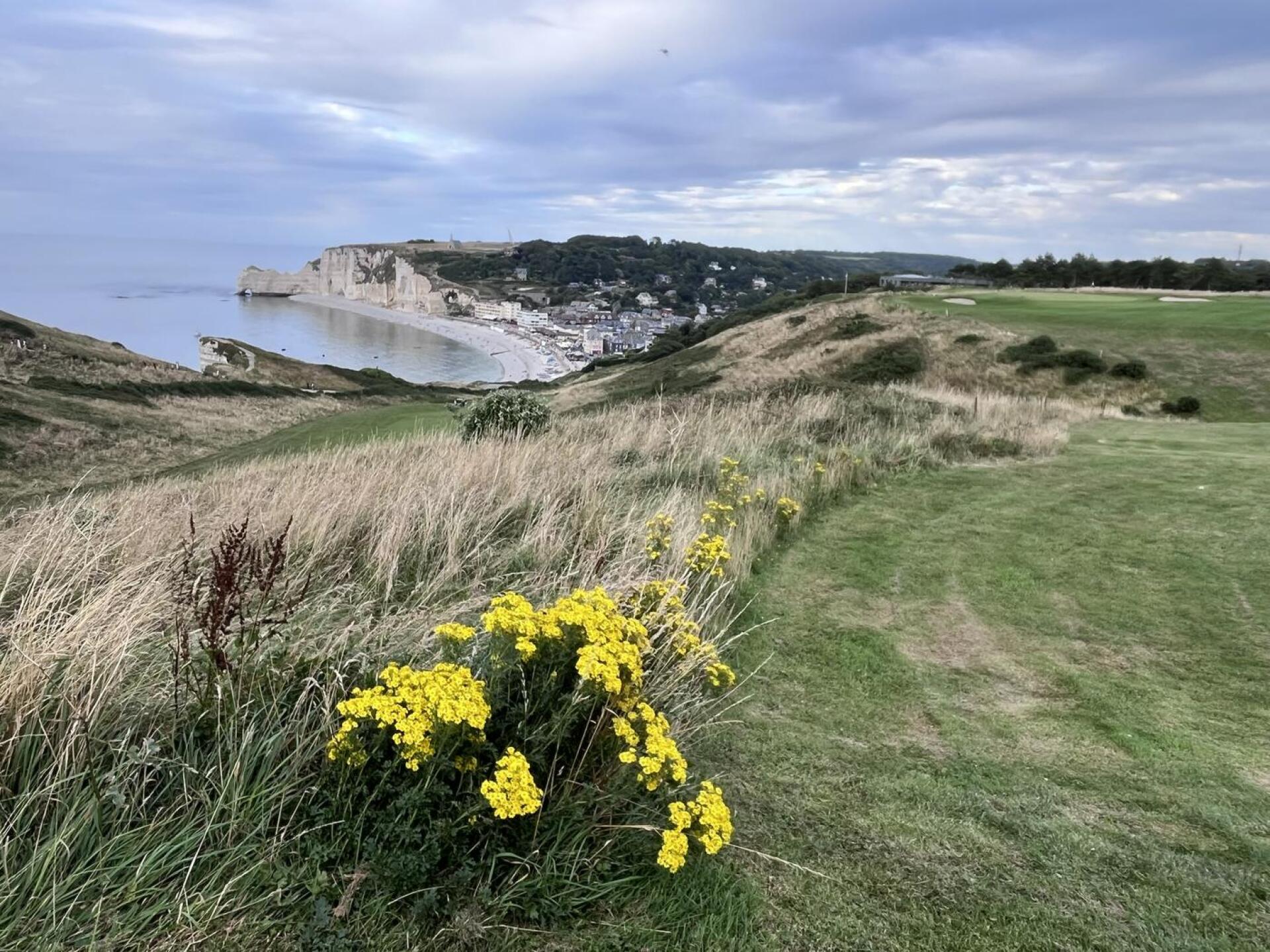 (Photo submitted by sfaget94 on 09/14/2025)