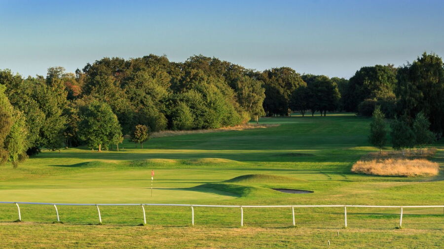 Links GC: #18