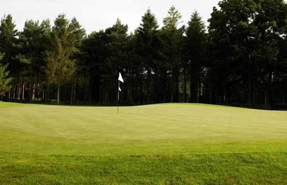 Woburn GCC - Marquess': #10