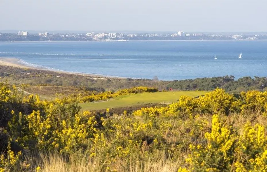 Isle of Purbeck GC