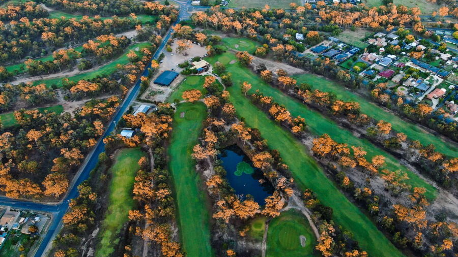 Bendigo GC: Aerial view