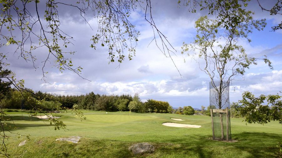 Carrickmines GC: #7
