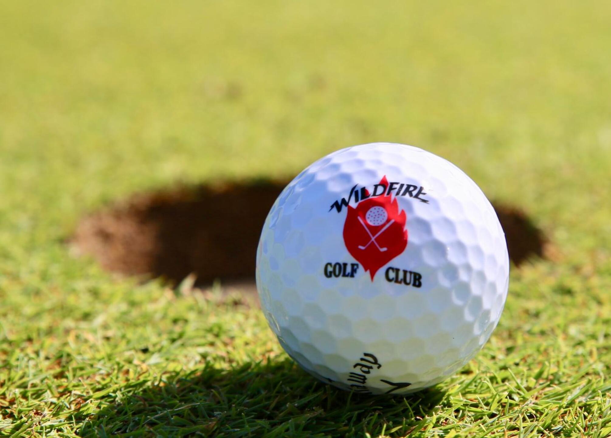 (Photo submitted by nxtEtxYt6YrFnd50XIXe on 09/10/2019)