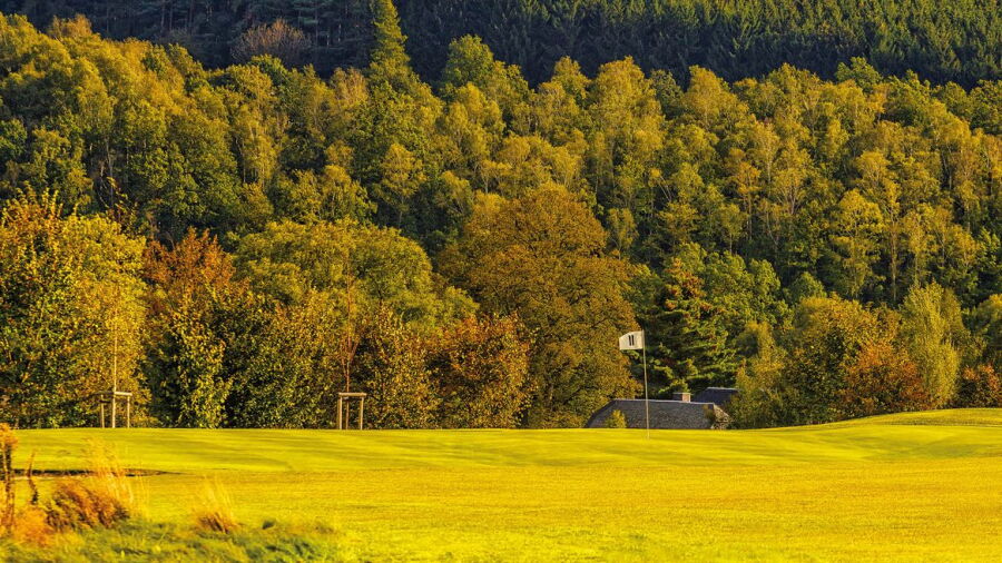 Chemnitz GC: #11