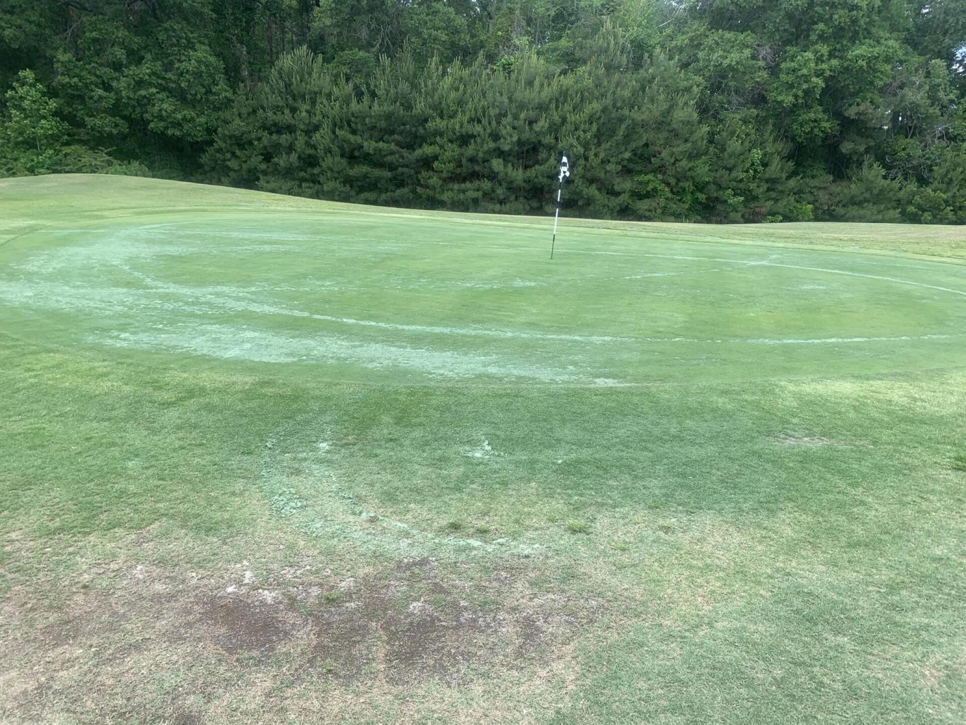 (Photo submitted by u950416169 on 05/14/2026)