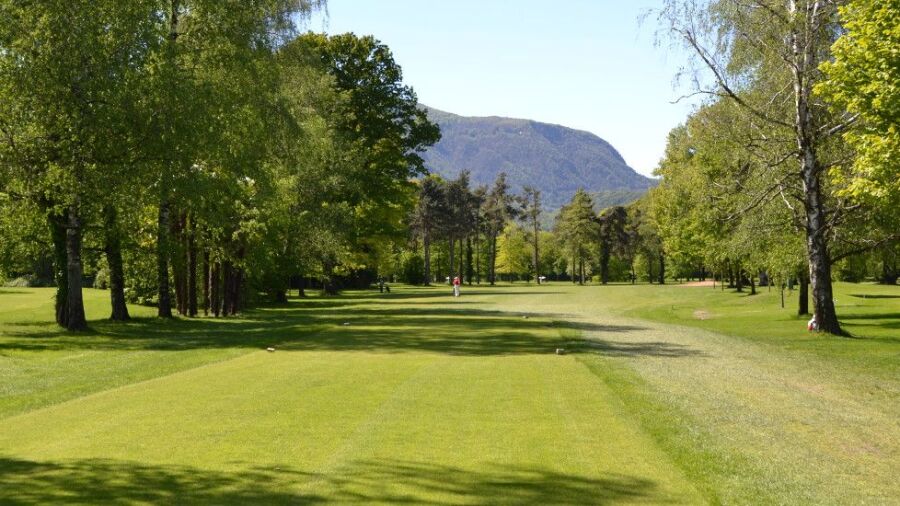 Patriziale Ascona GC: #13