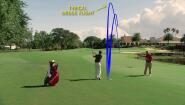 Flighted Wedge Shots