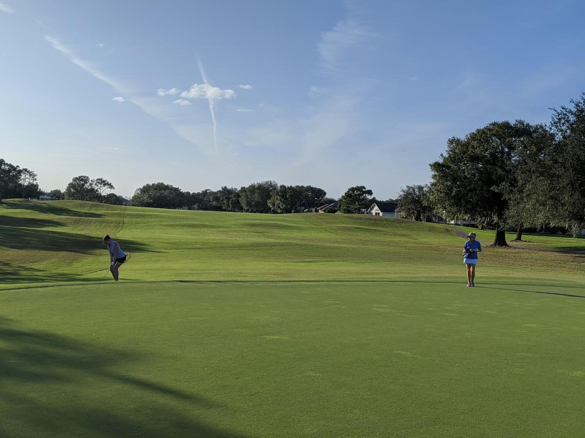 (Photo submitted by weiss180 on 01/30/2020)