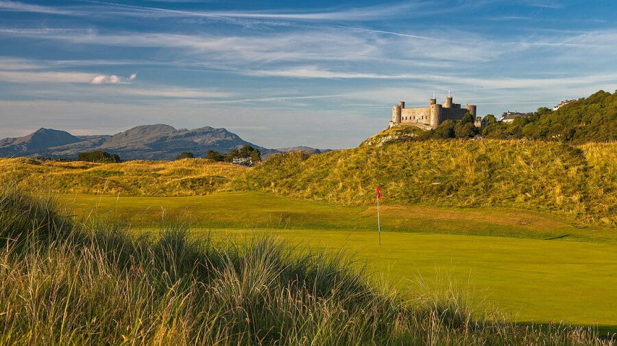 Royal St. David's GC: #15