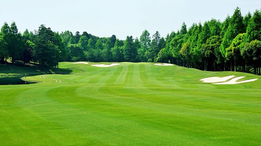 Toyosato GC: #11