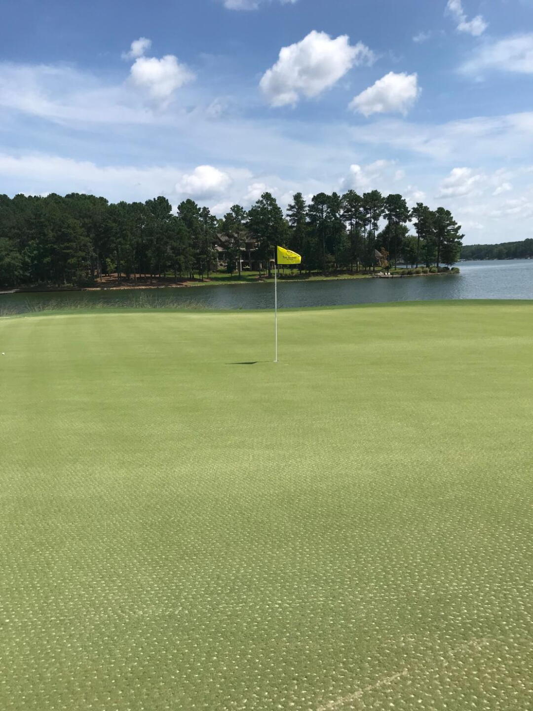 Punched greens (Photo submitted by u371523190 on 07/19/2019)