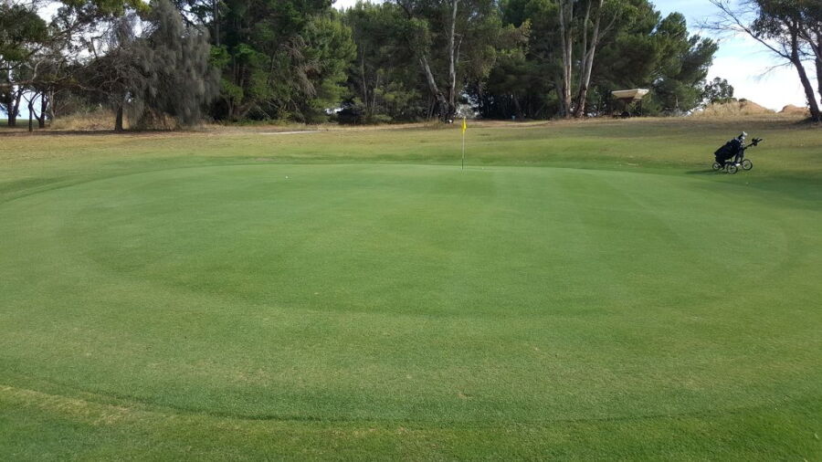 Lake Albert GC