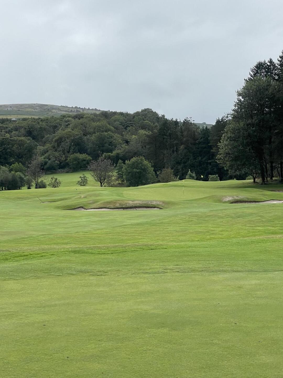 (Photo submitted by u314162005797 on 08/16/2024)